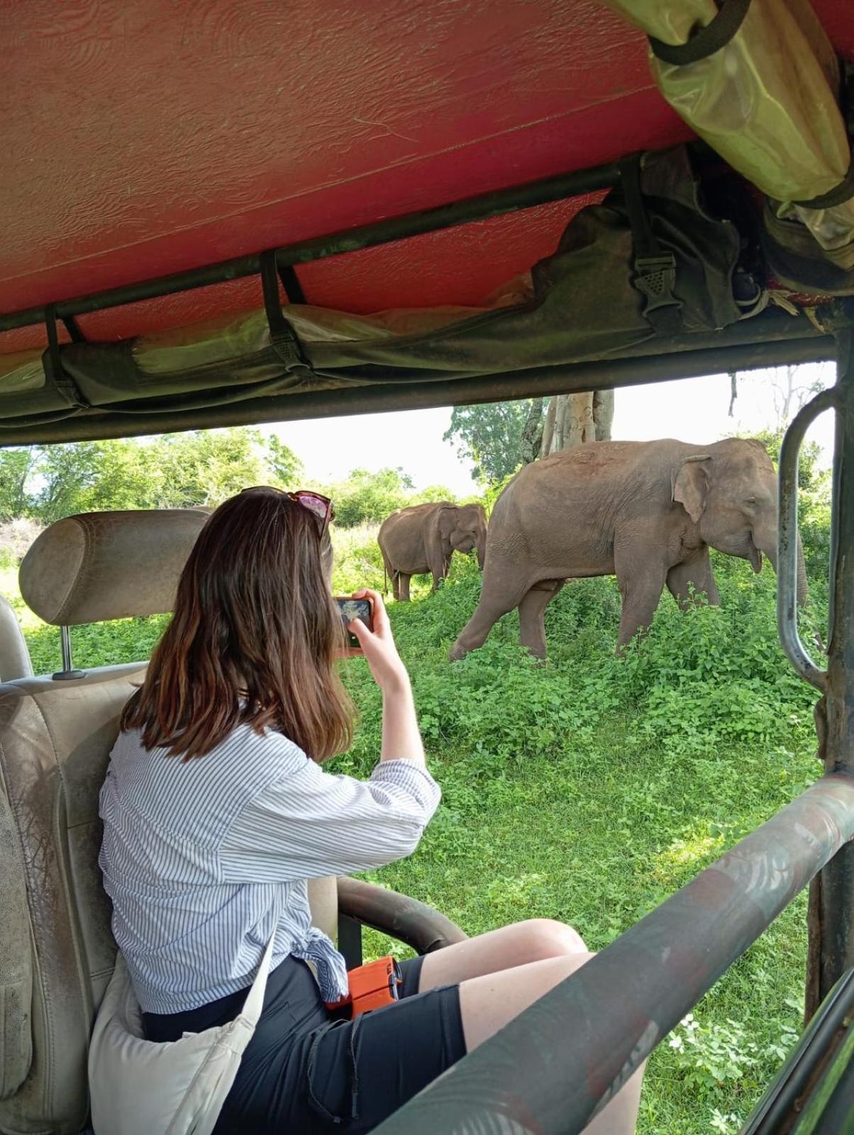 Wild Park Safari Home Stay Udawalawe Exterior photo